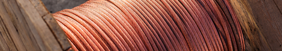 缅甸丹杜苗第三线