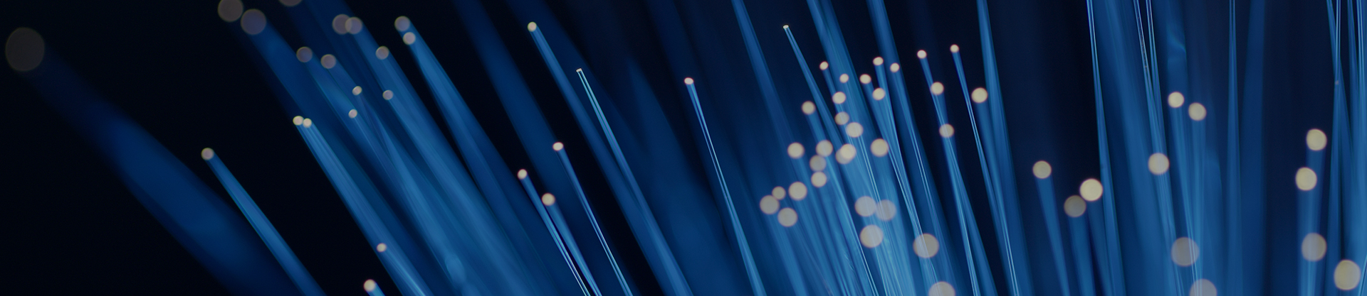 江苏市曲城电缆技术有限公司